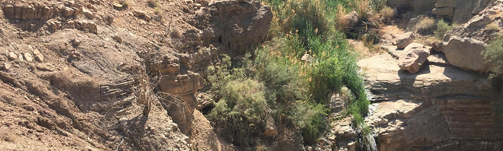 Géologie des Bassins Sédimentaires (MRGBS)