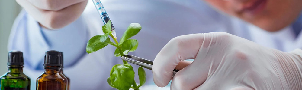 Doctorats en Biologie