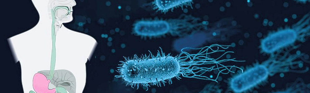 Pathogénie, Virulence des Micro-Organismes & Agents Anti-infectieux (MRPVM)