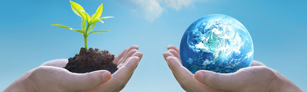 Sciences de la Terre [parcours Géoressources & Environnement] (LST-GEOR)